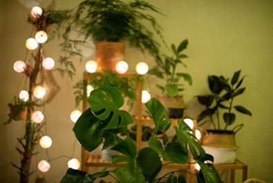 A cozy home decor setup with cushions, lamps, and plants creating a warm atmosphere.