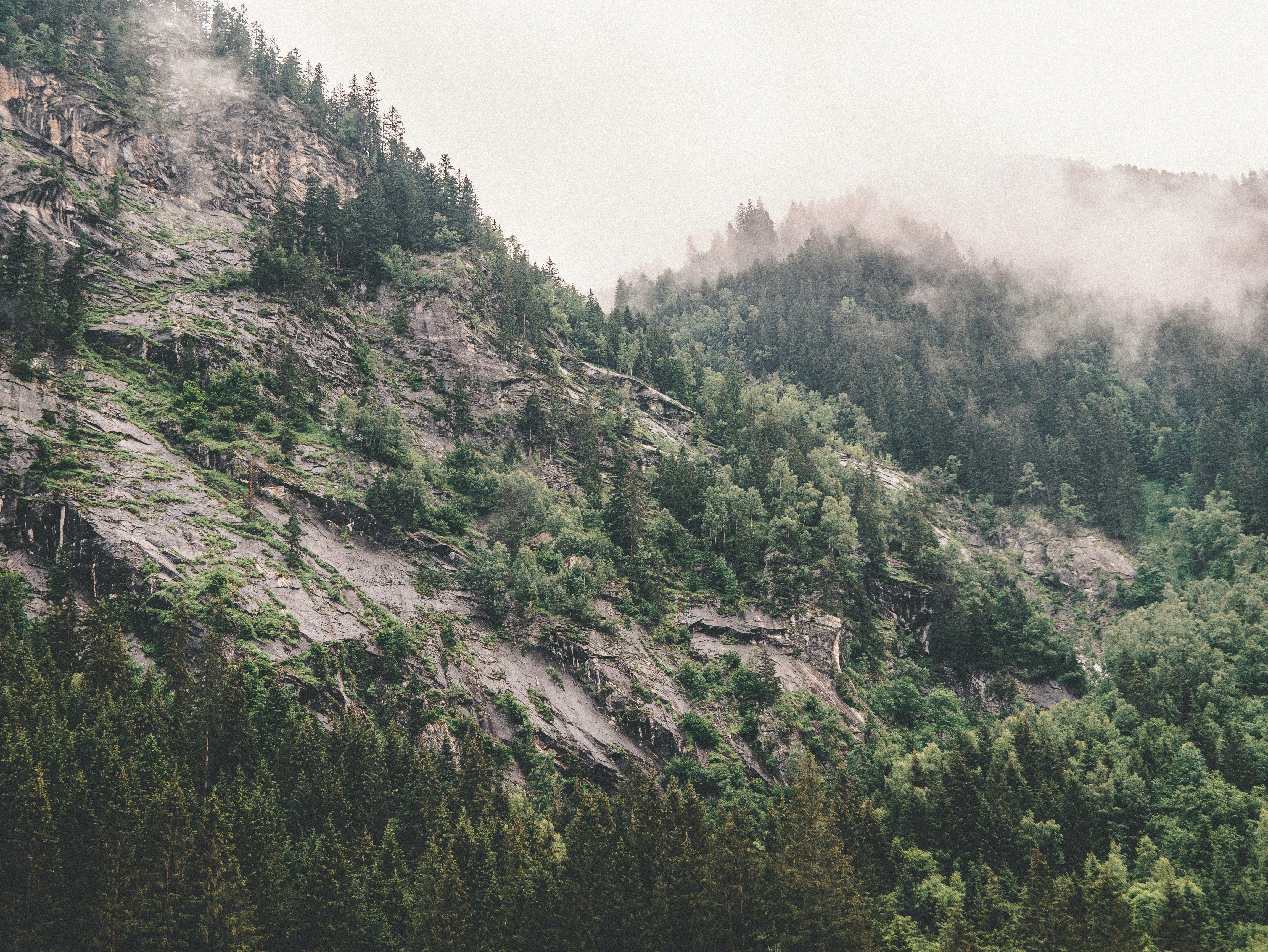 Photo by simonmaisch