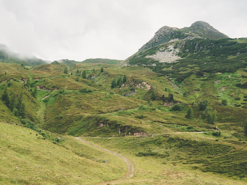 green grass field and mountain