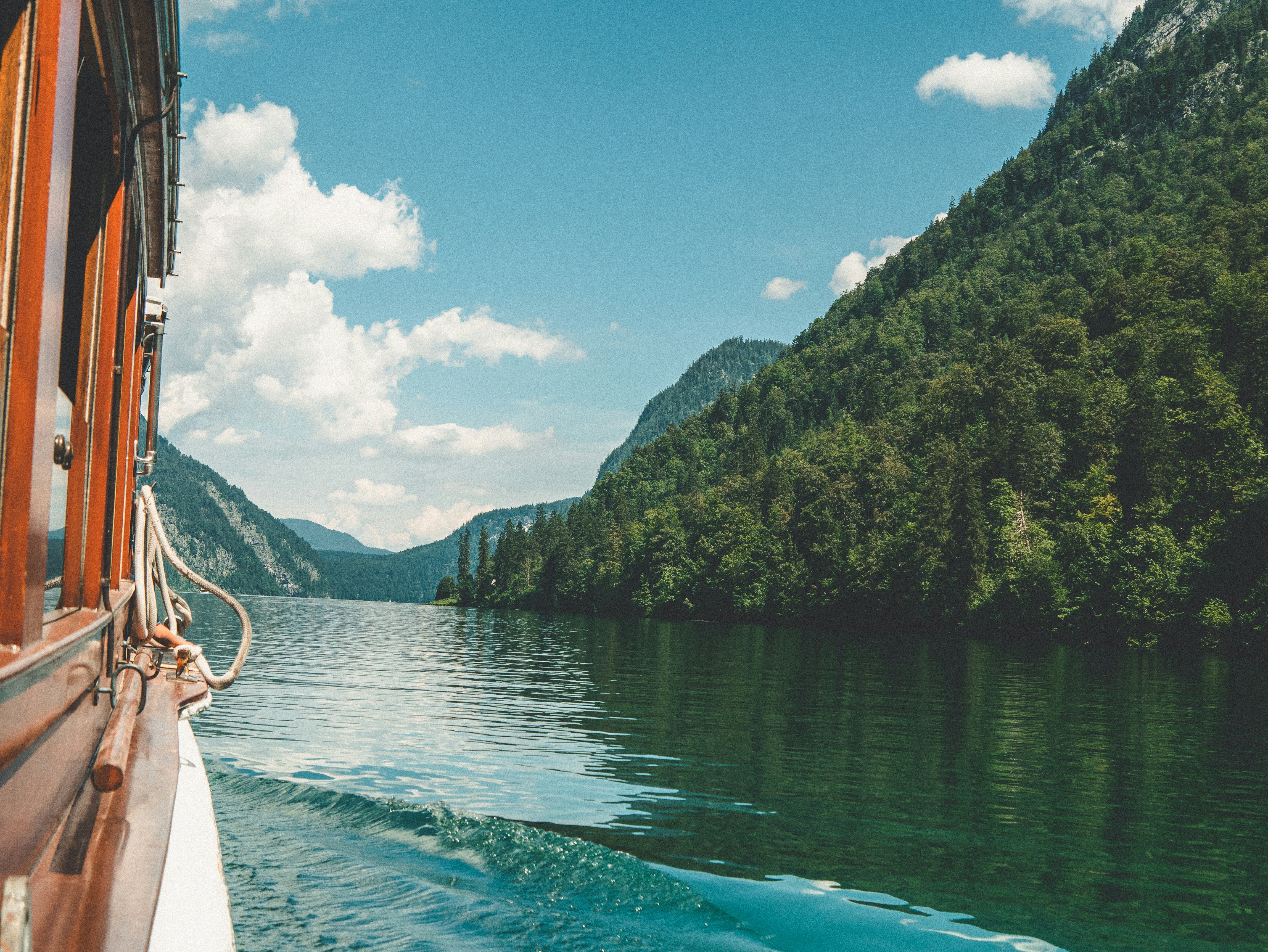 green trees on mountain beside body of water during daytime