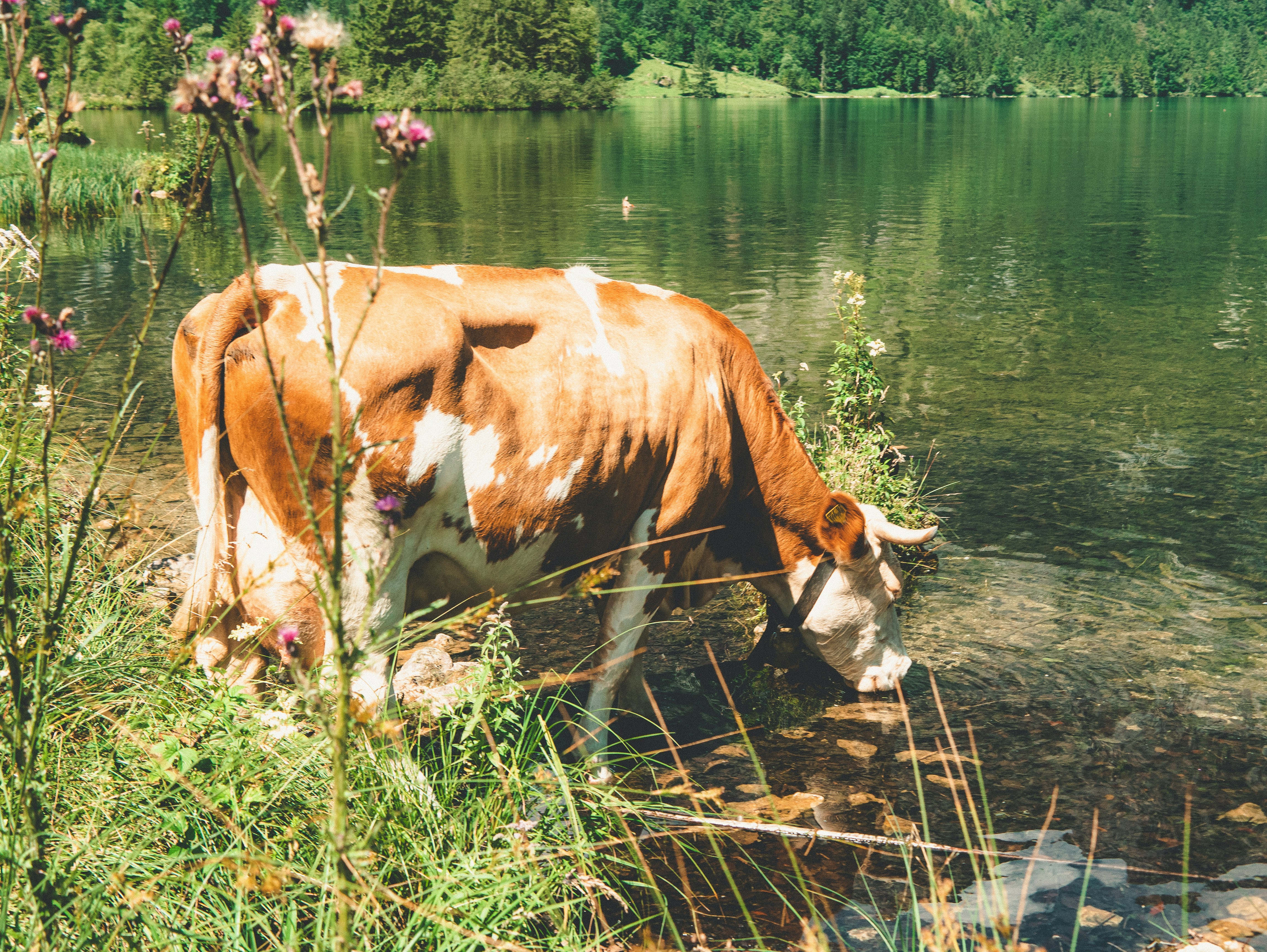 Photo by simonmaisch