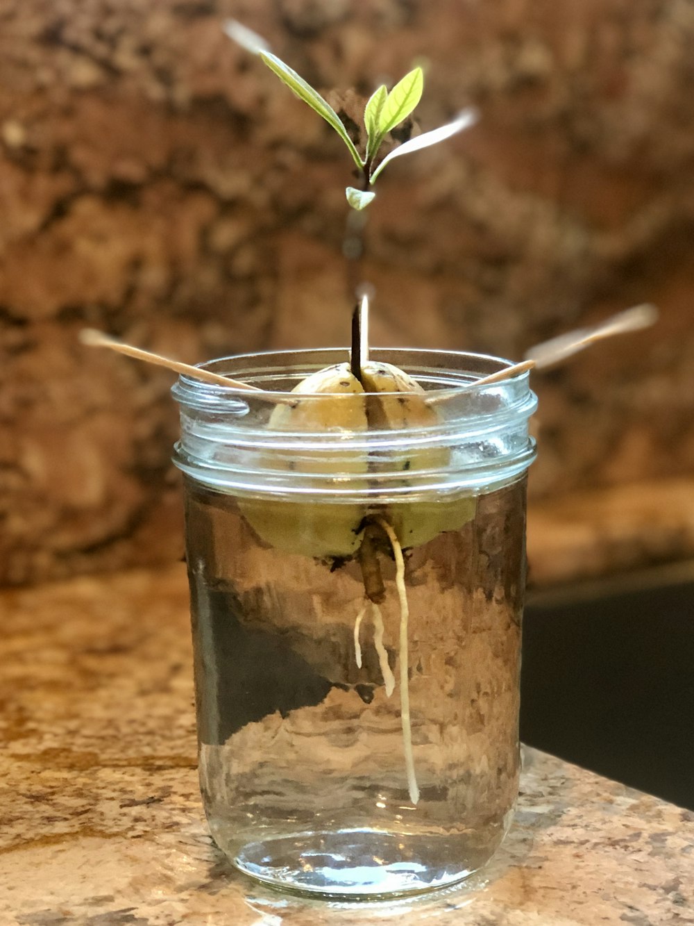 bocal en verre transparent avec paille blanche