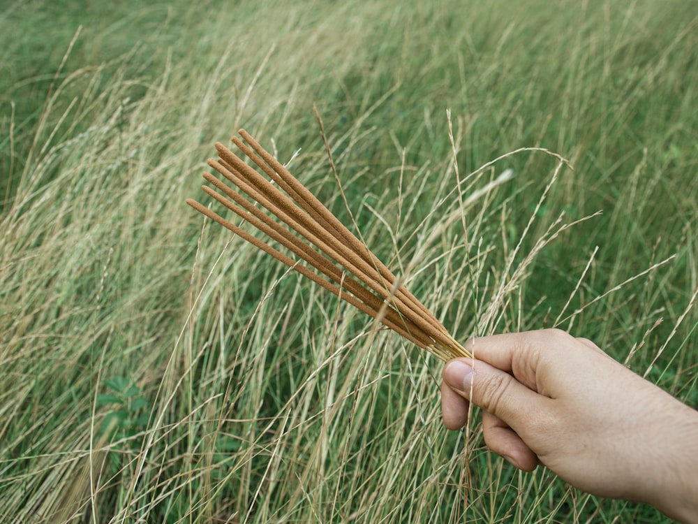 person holding brown stick on green grass field during daytime