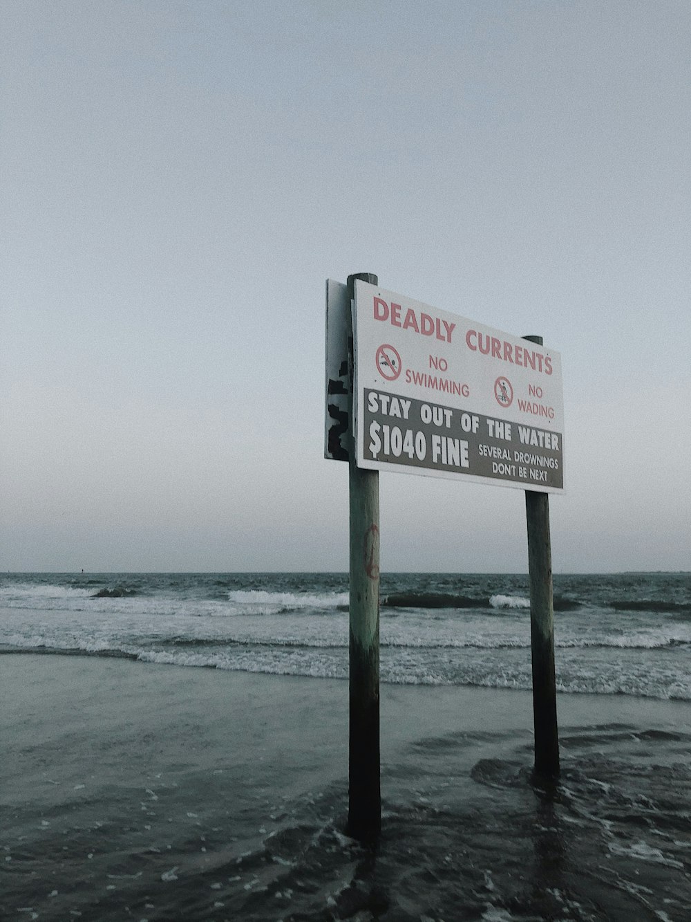 white and red no smoking sign on beach