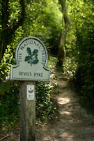 A wooden post with a sign indicates a pathway leading through a lush, green wooded area. The sign reads 'The National Trust' and 'Devil's Dyke' with a small secondary sign indicating access land.