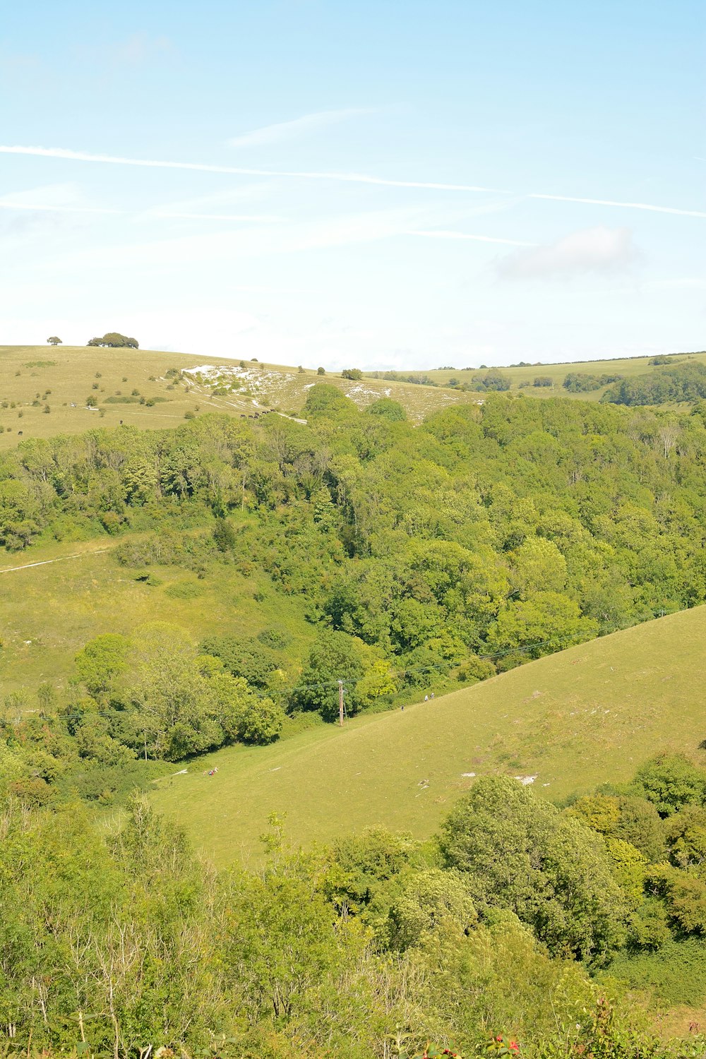 green trees on hill under white clouds during daytime