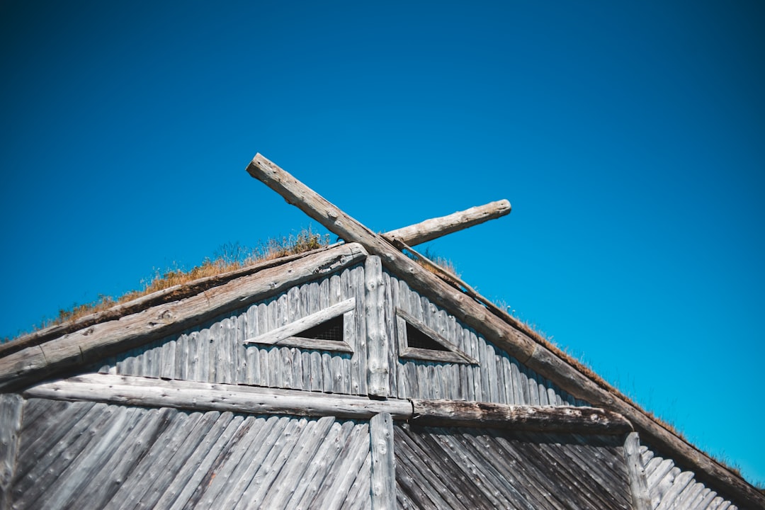 brown wooden house under blue sky during daytime