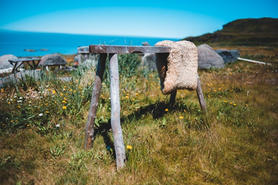 A rustic wooden bench stands in a grassy field, draped with a sheep's wool. The area is surrounded by wildflowers, and there are hills and a body of water visible in the background.