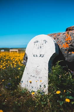 A stone tablet is positioned in a field of wildflowers, featuring engraved images of two figures holding staffs and a Viking ship. The background includes a bright blue sky and orange-lichen-covered rocks.