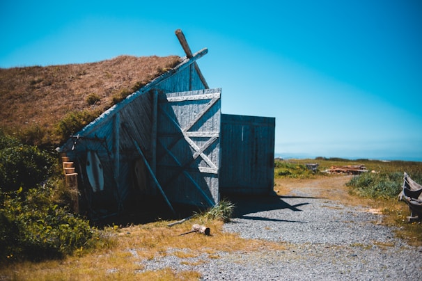An old wooden shed with a weathered, rustic look stands amid a grassy and gravel-covered area. The roof is partially covered with grass, blending into the surrounding landscape. Bright sunlight creates deep shadows, and the sky is a clear, vibrant blue.