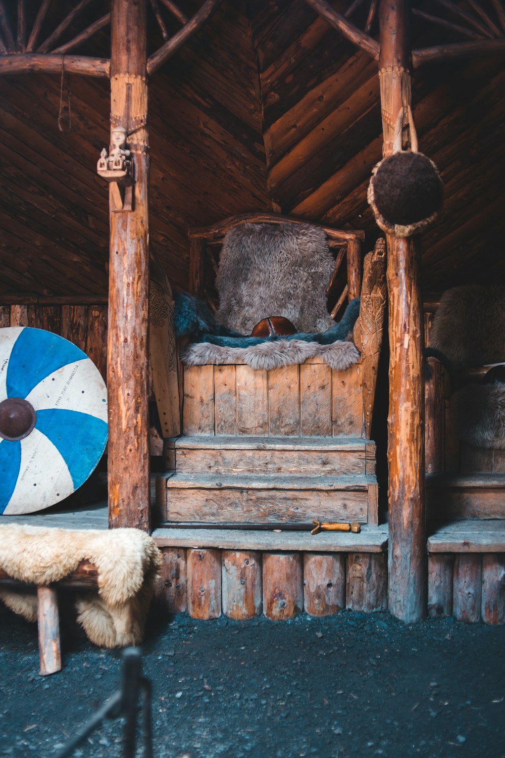 blue and white bird on brown wooden door