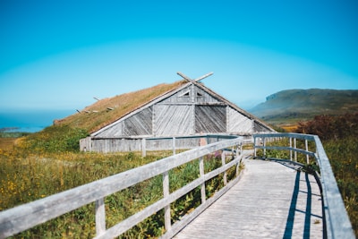 A wooden pathway leads to a rustic building with a thatched grass roof, set in a scenic landscape. Surrounded by grass and wildflowers, the structure has a traditional, earthy design with wooden panels. In the background, gentle hills and a clear blue sky expand the tranquil view.