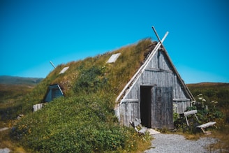 A traditional wooden house with a grass-covered roof is set amidst a grassy landscape under a clear blue sky. The building features a wooden door and has a rustic appearance, blending harmoniously with the surrounding greenery. Wooden planks and natural vegetation cover the ground in front of the house.