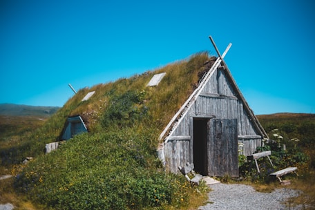 A traditional wooden house with a grass-covered roof is set amidst a grassy landscape under a clear blue sky. The building features a wooden door and has a rustic appearance, blending harmoniously with the surrounding greenery. Wooden planks and natural vegetation cover the ground in front of the house.