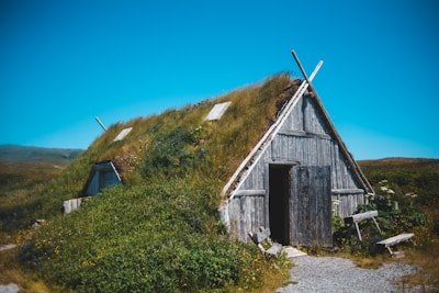 A traditional wooden house with a grass-covered roof is set amidst a grassy landscape under a clear blue sky. The building features a wooden door and has a rustic appearance, blending harmoniously with the surrounding greenery. Wooden planks and natural vegetation cover the ground in front of the house.