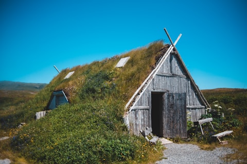 A traditional wooden house with a grass-covered roof is set amidst a grassy landscape under a clear blue sky. The building features a wooden door and has a rustic appearance, blending harmoniously with the surrounding greenery. Wooden planks and natural vegetation cover the ground in front of the house.