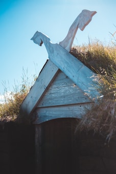 A wooden structure with ornate carvings of animal heads on top, set against a clear blue sky. The structure appears to have grass growing over it, reminiscent of traditional Viking or Norse architecture.
