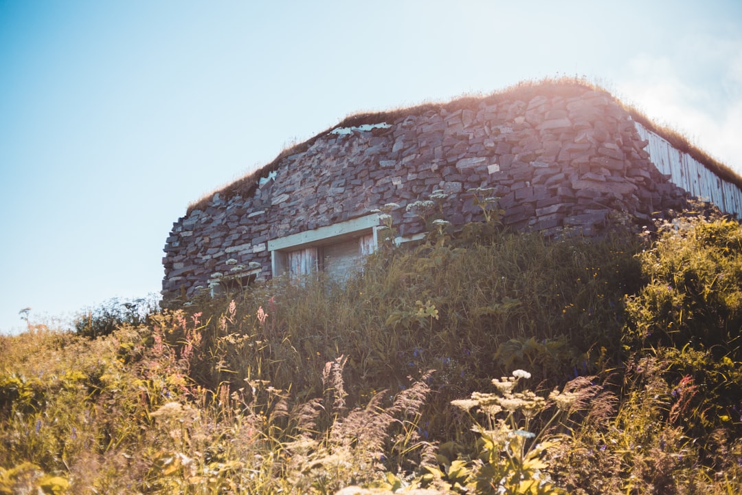 brown brick house near green grass field during daytime