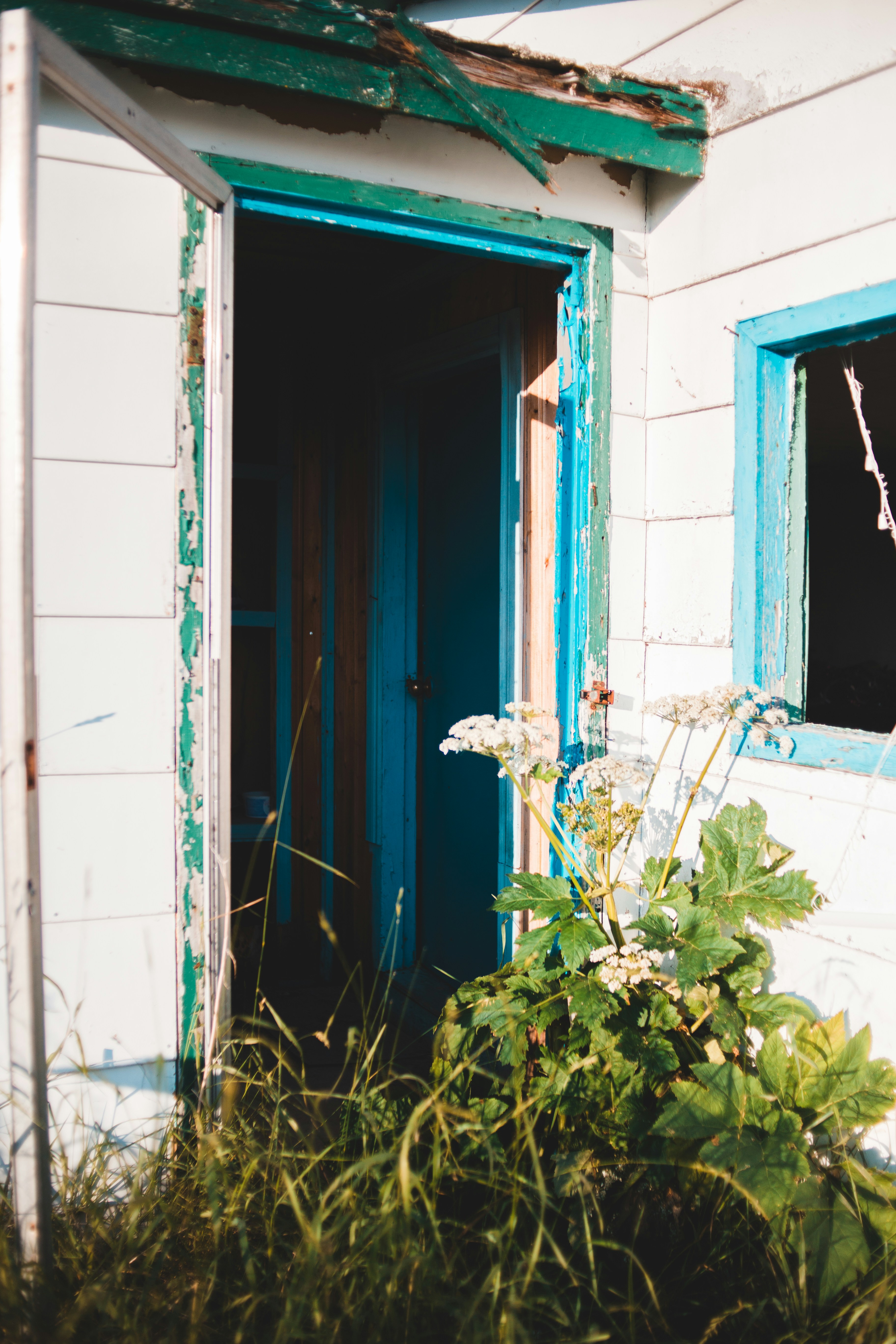 Photo by introspectivedsgn