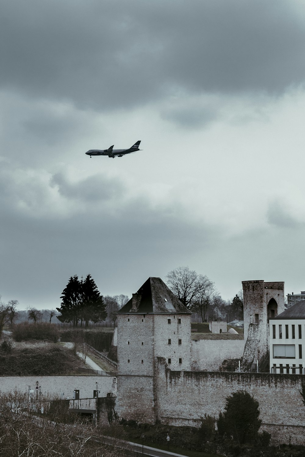 black bird flying over the building during daytime