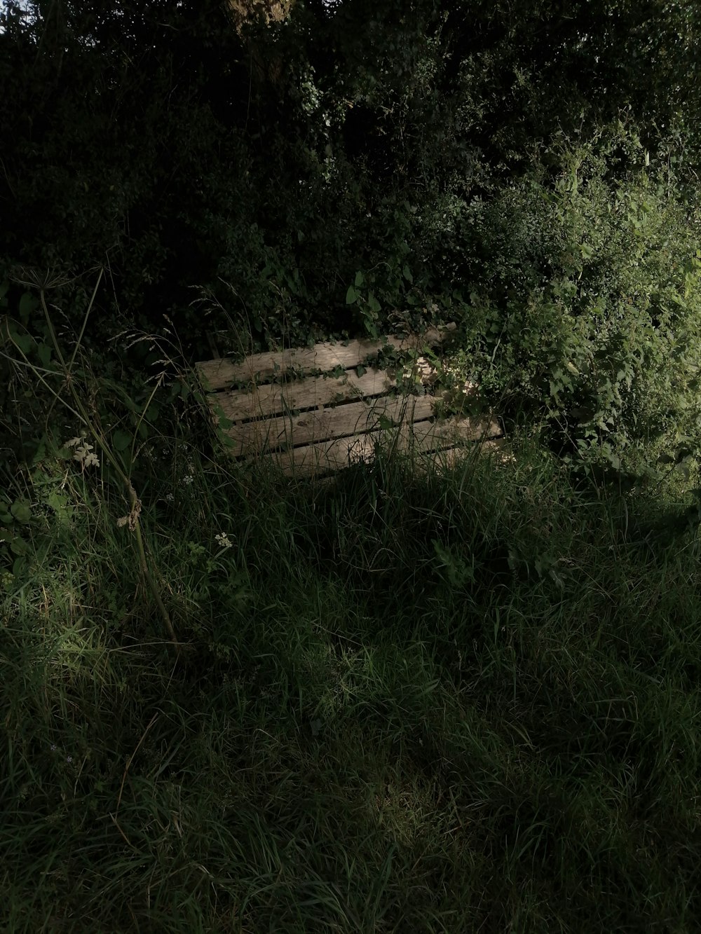 brown wooden fence near green grass