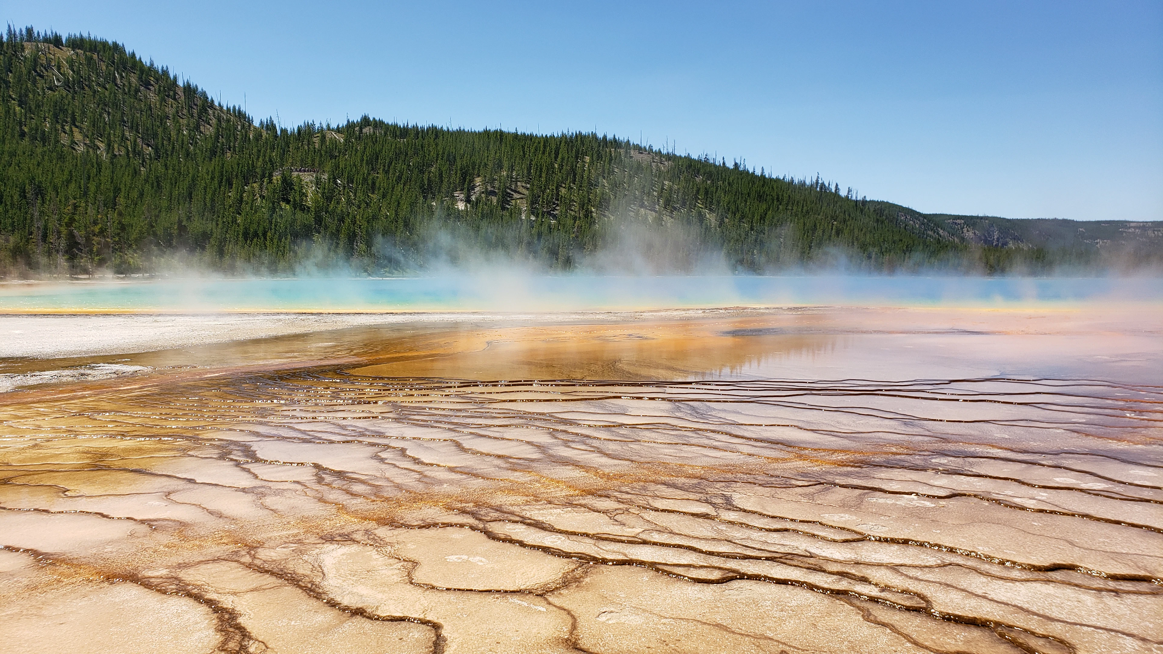Steam and colour at Grand Prismatic Spring in Yellowstone National Park