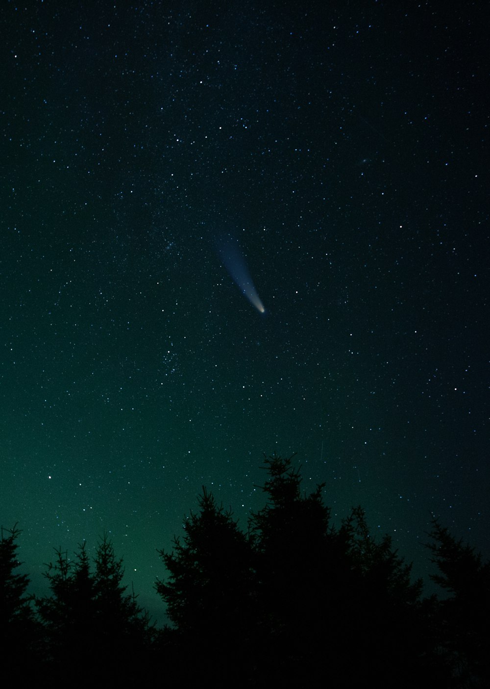 green trees under blue sky during night time