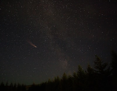 green trees under starry night asteroid teams background