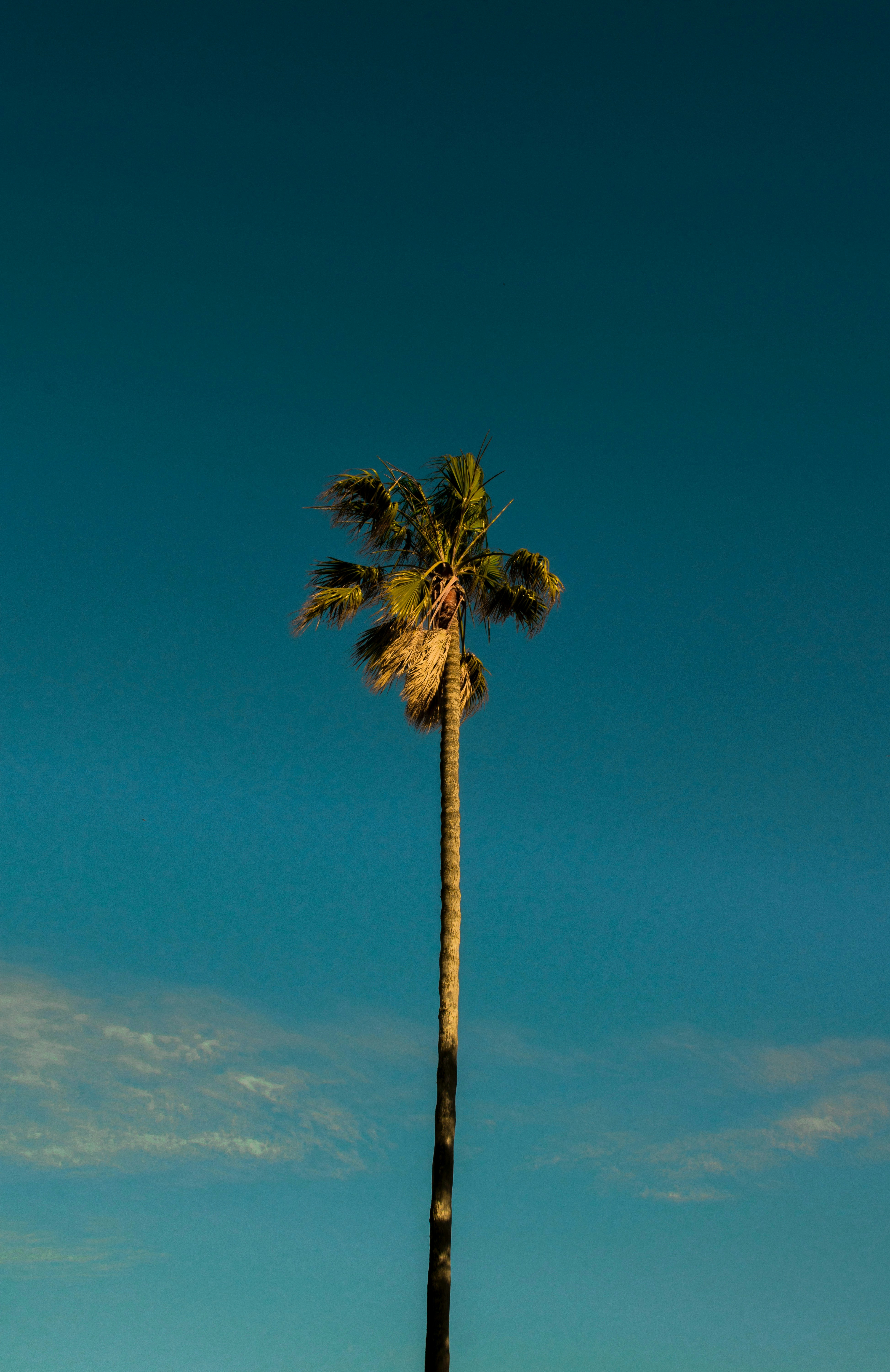 Photo by luisgpramalho