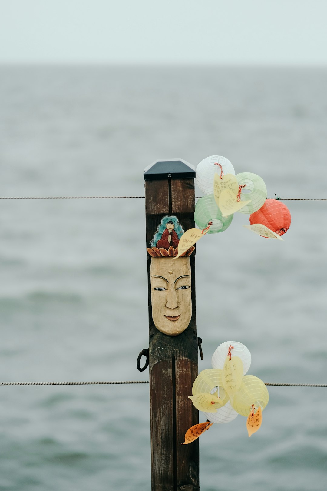 white and yellow flower on brown wooden post
