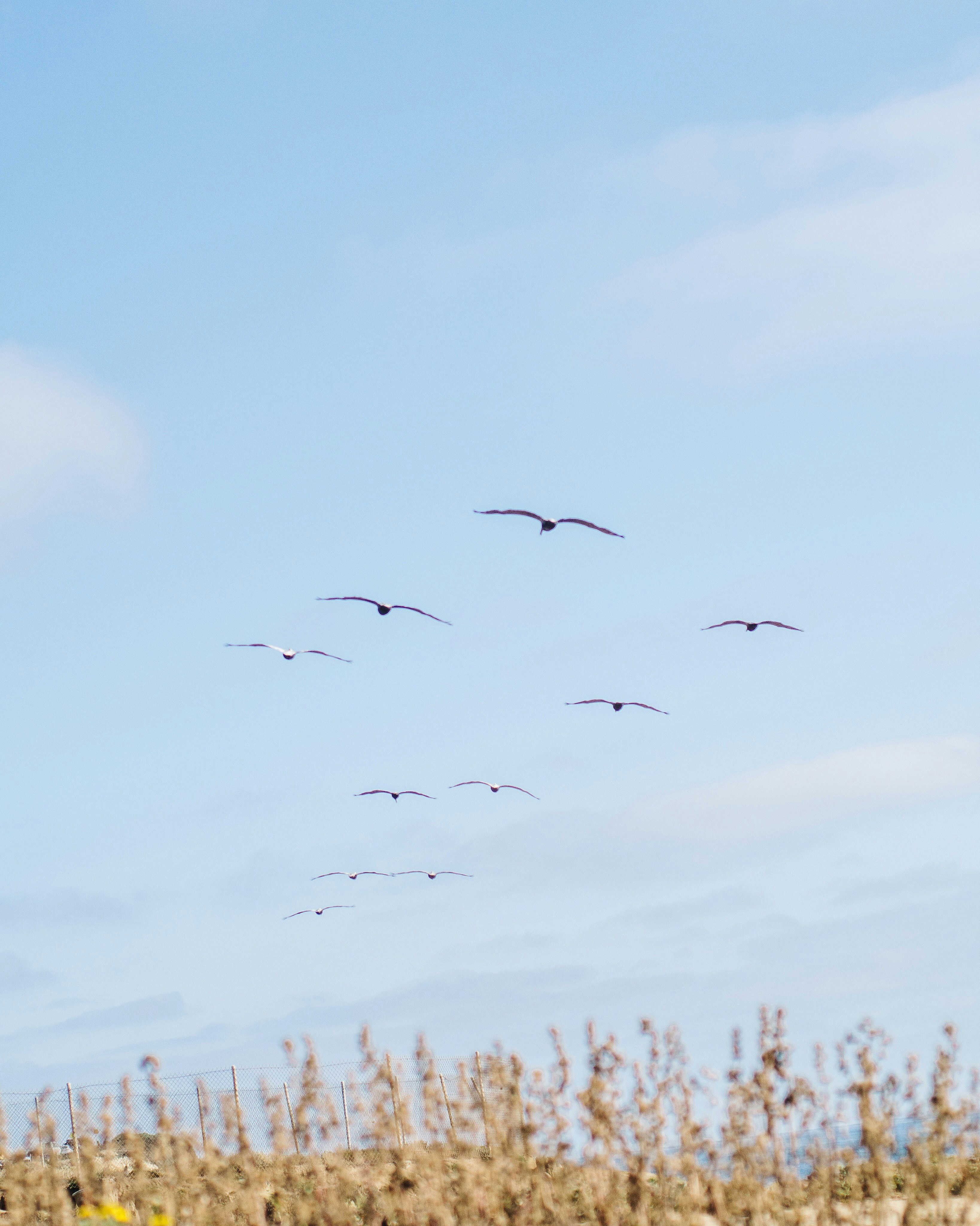 Photo by charlesetoroma