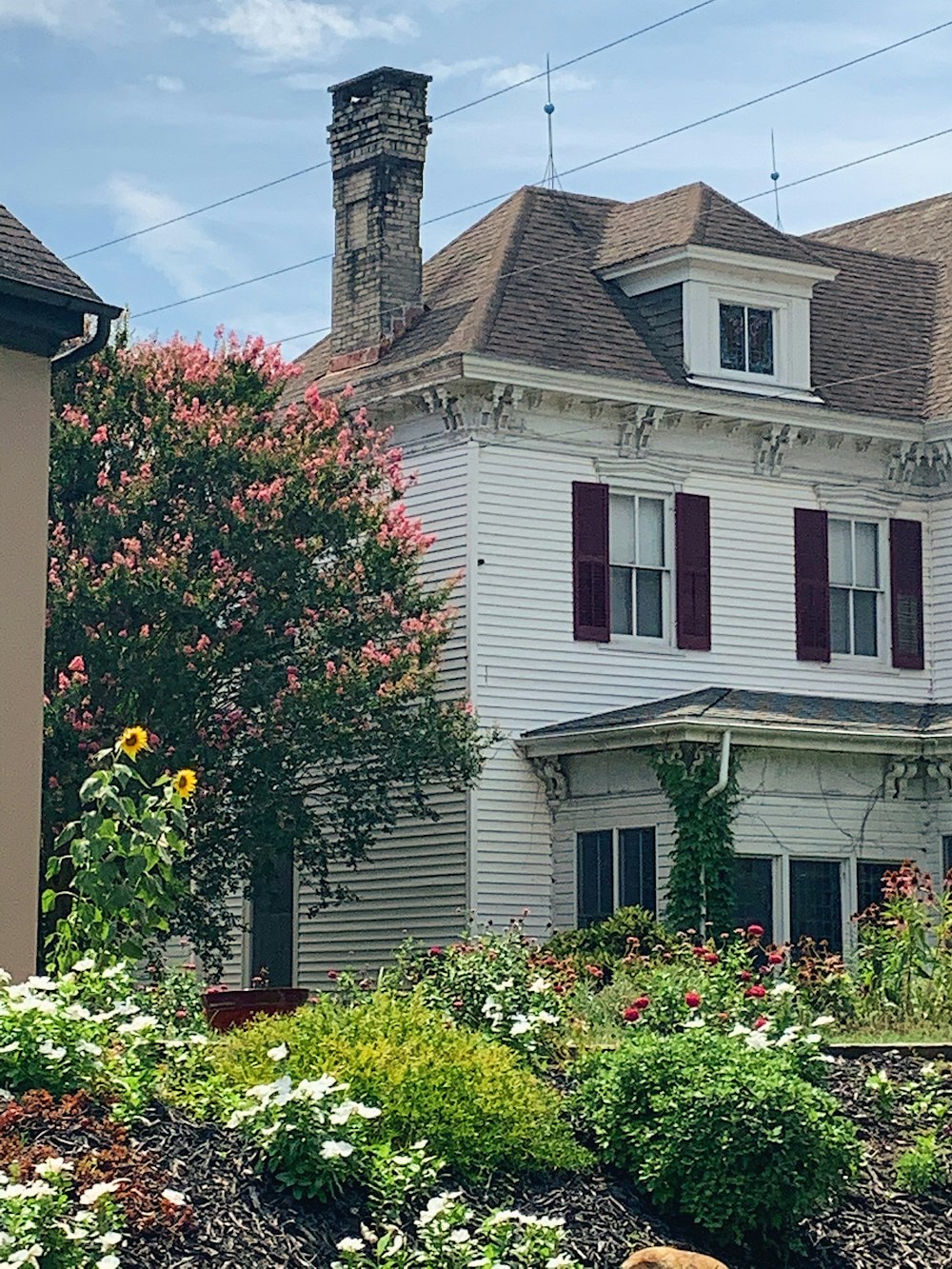 red and yellow flowers near brown and white concrete house