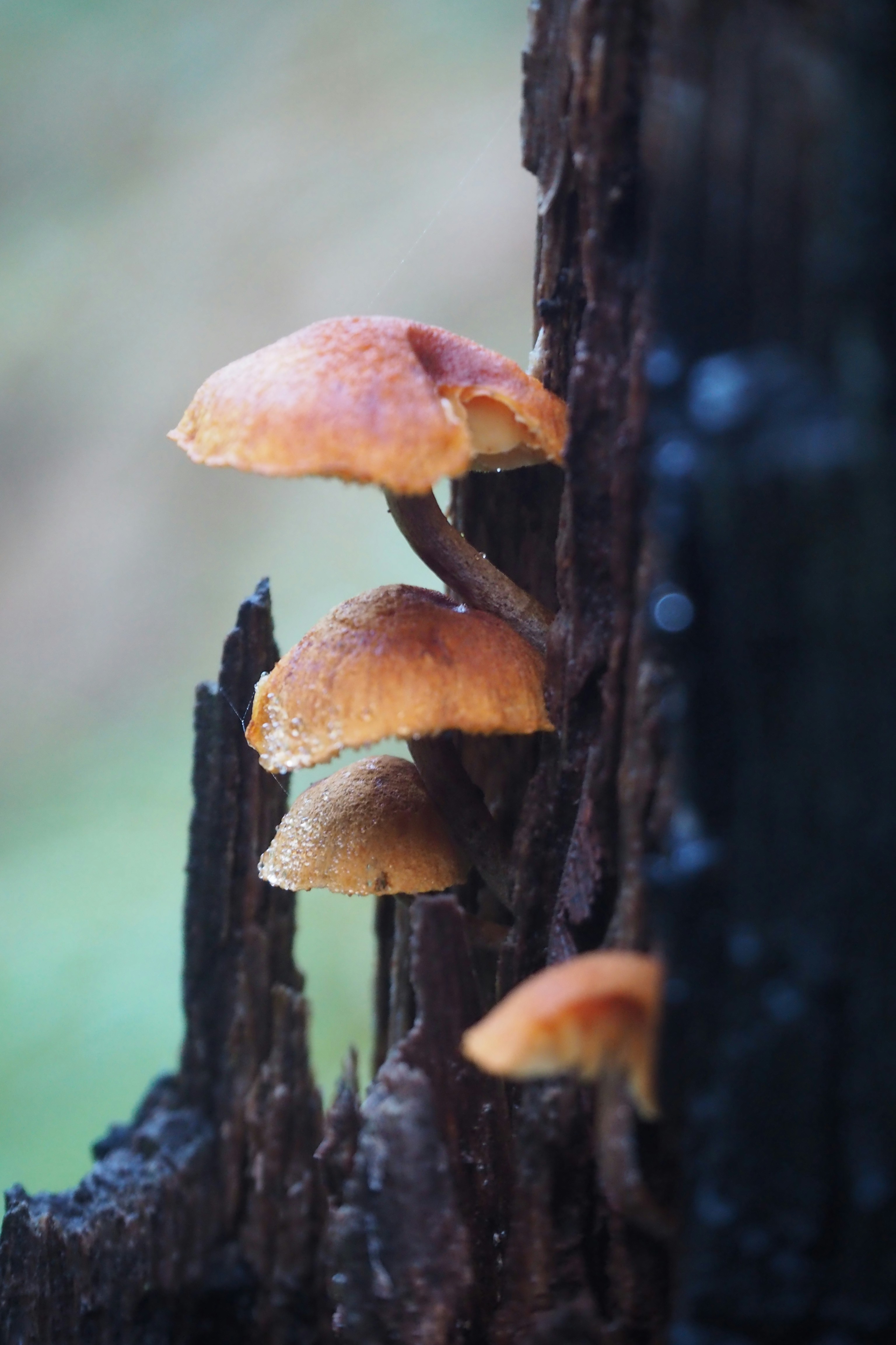 Photo by bella_rivera