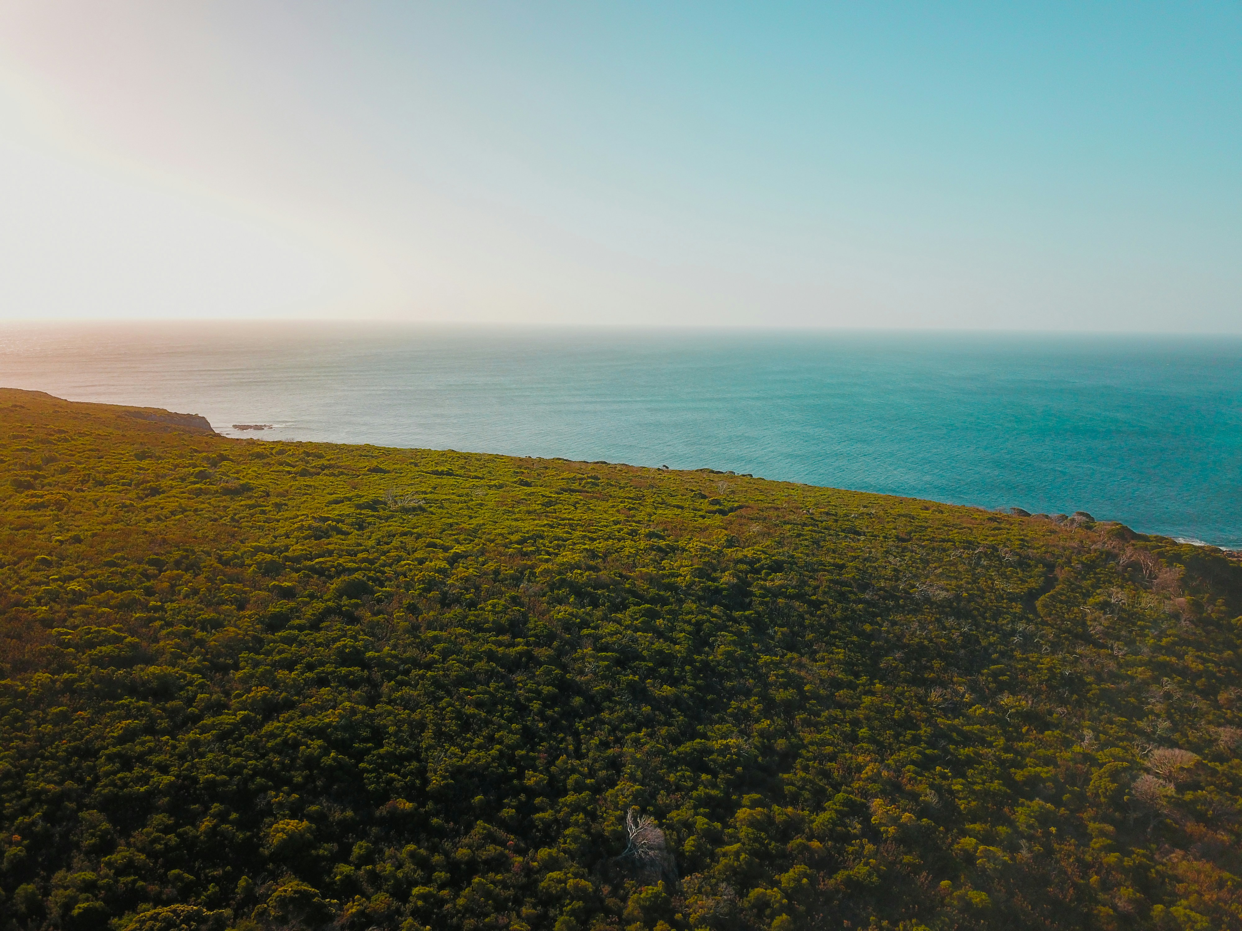 green grass field near body of water during daytime