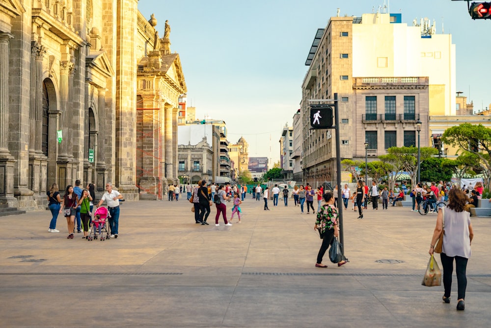 people walking on street during daytime