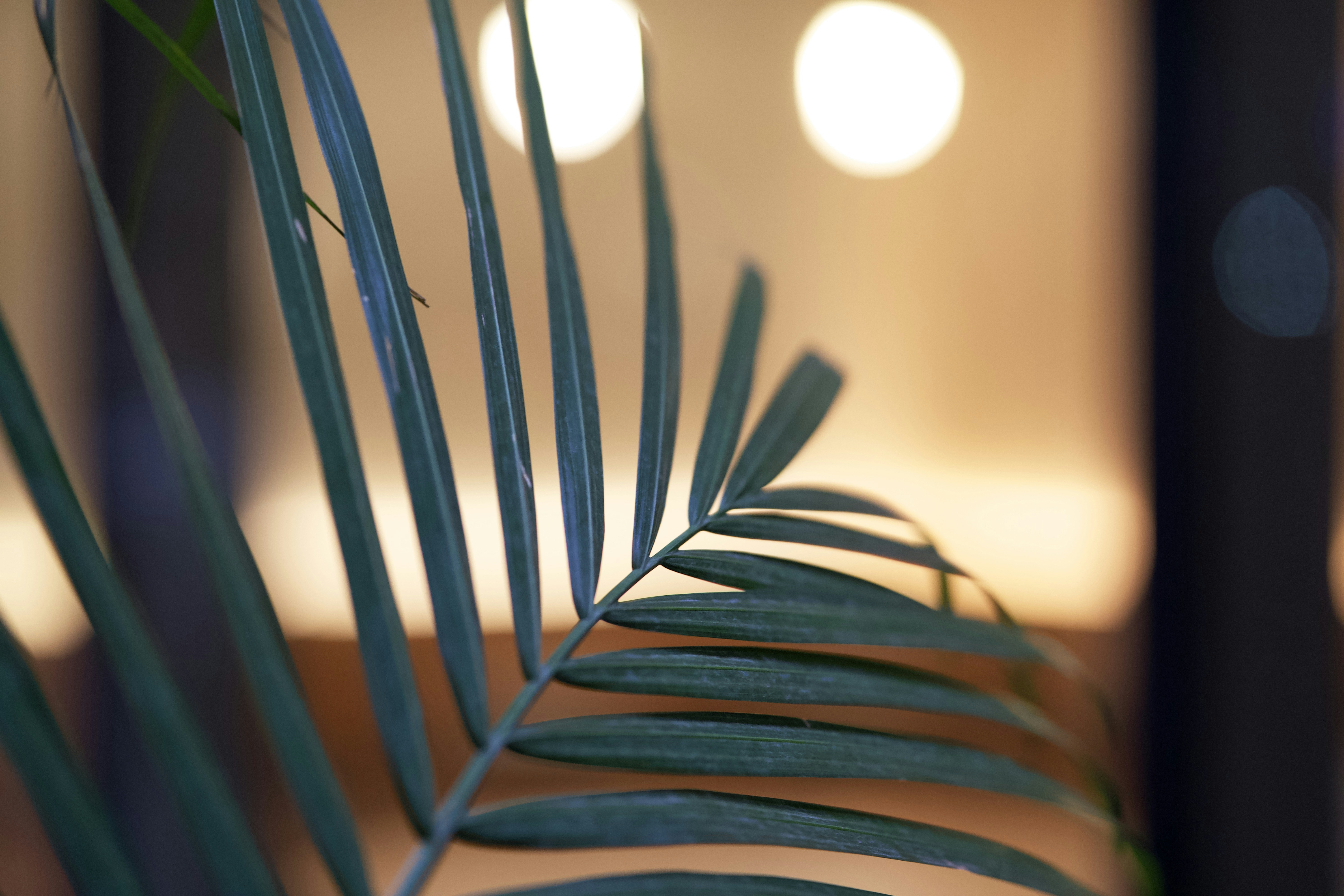 Photo by ycbrphotography