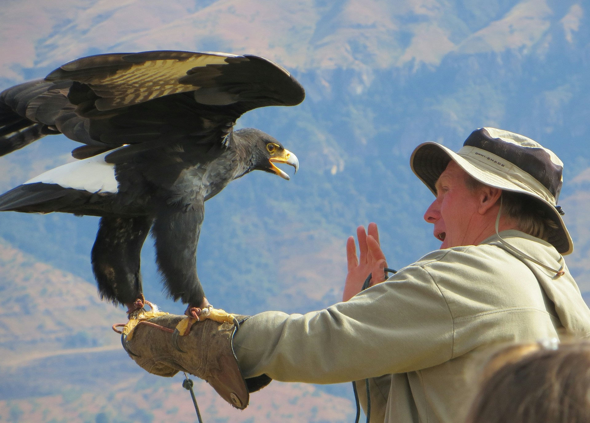 man in white shirt and white pants holding black and white eagle