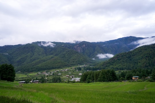 green grass field near green mountains under white cloudy sky during daytime in Paro Bhutan