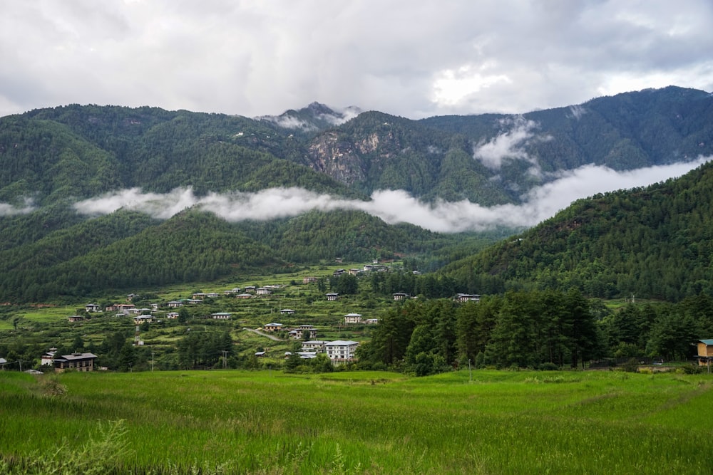 green trees and mountain under white clouds during daytime