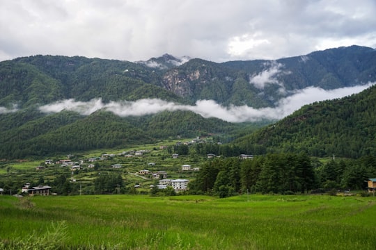 green trees and mountain under white clouds during daytime in Paro Bhutan