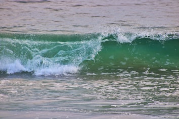 A wave is cresting in the ocean, displaying vibrant shades of teal and green as it crashes. The water appears clear with sunlight reflecting off the surface, creating a sparkling effect. The movement is dynamic, capturing the energy of the sea.