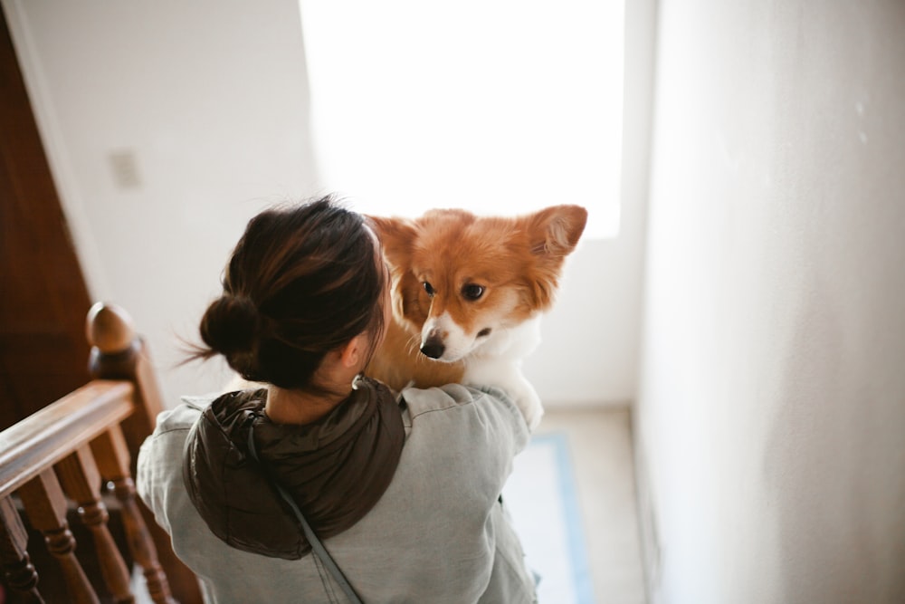 woman in gray hoodie kissing brown and white dog