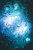 blue and white abstract painting