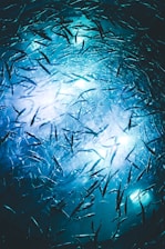blue and white abstract painting