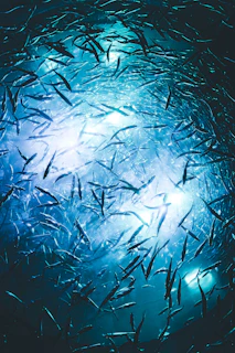 blue and white abstract painting