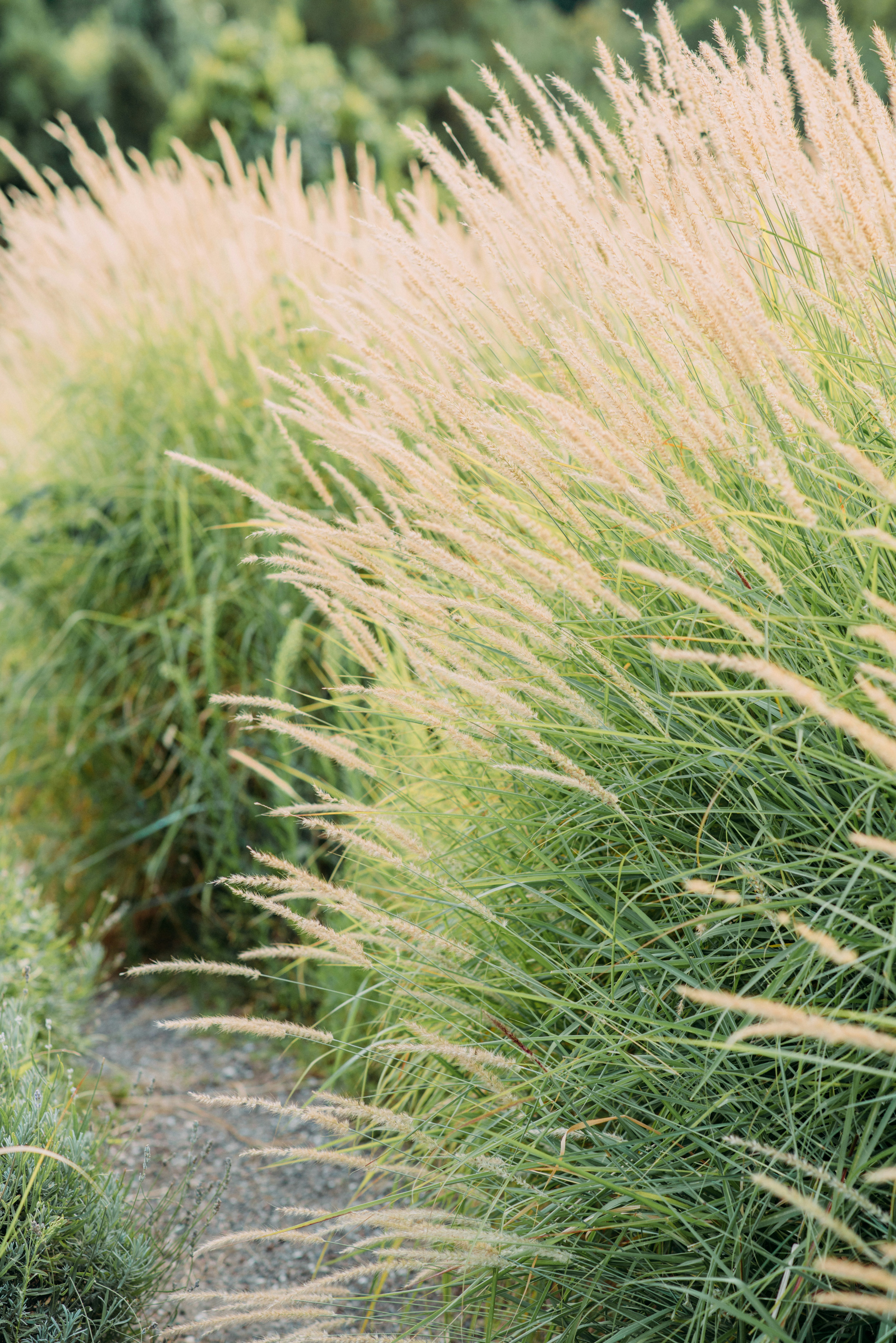 Photo by eugenivy_now