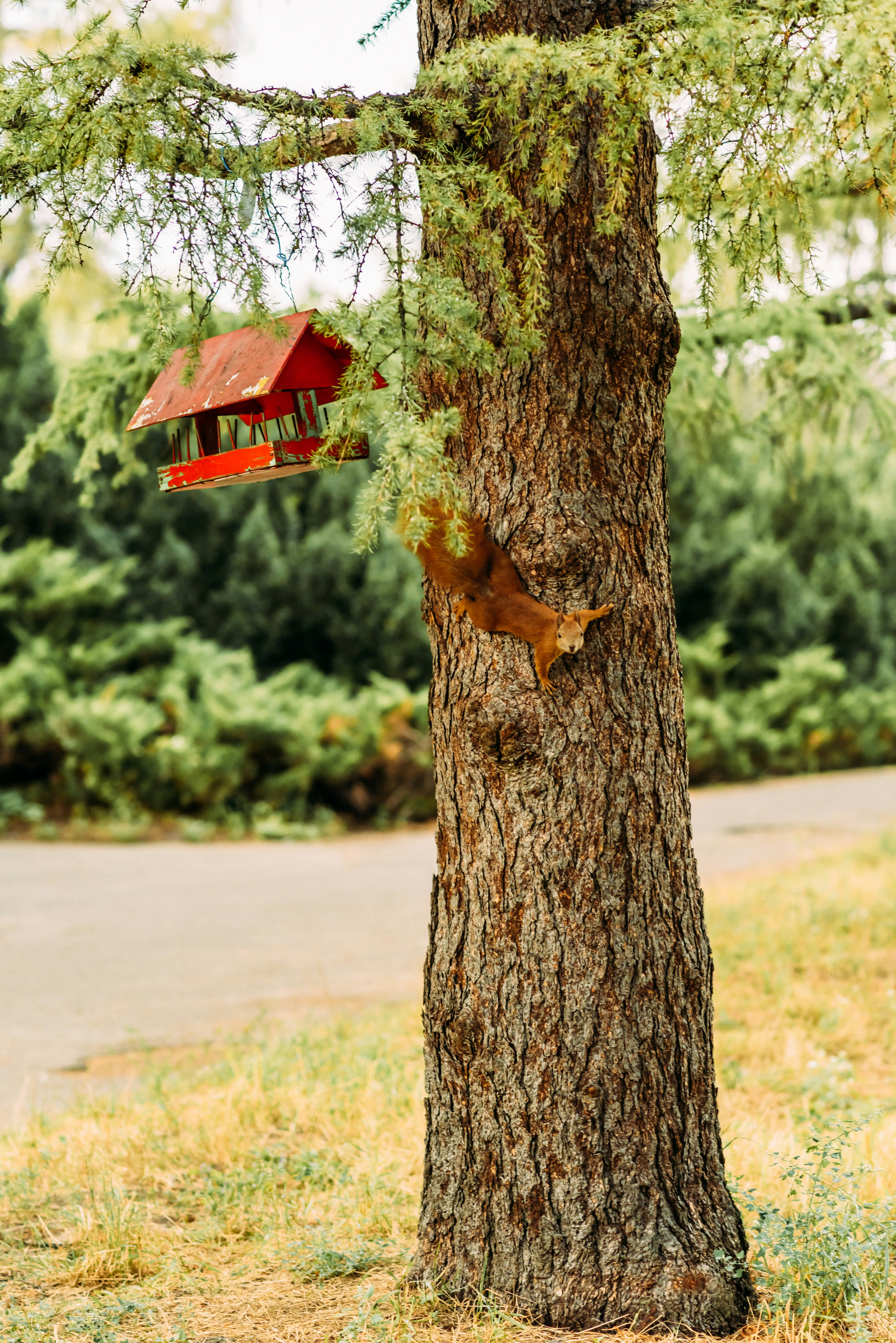 Photo by eugenivy_now