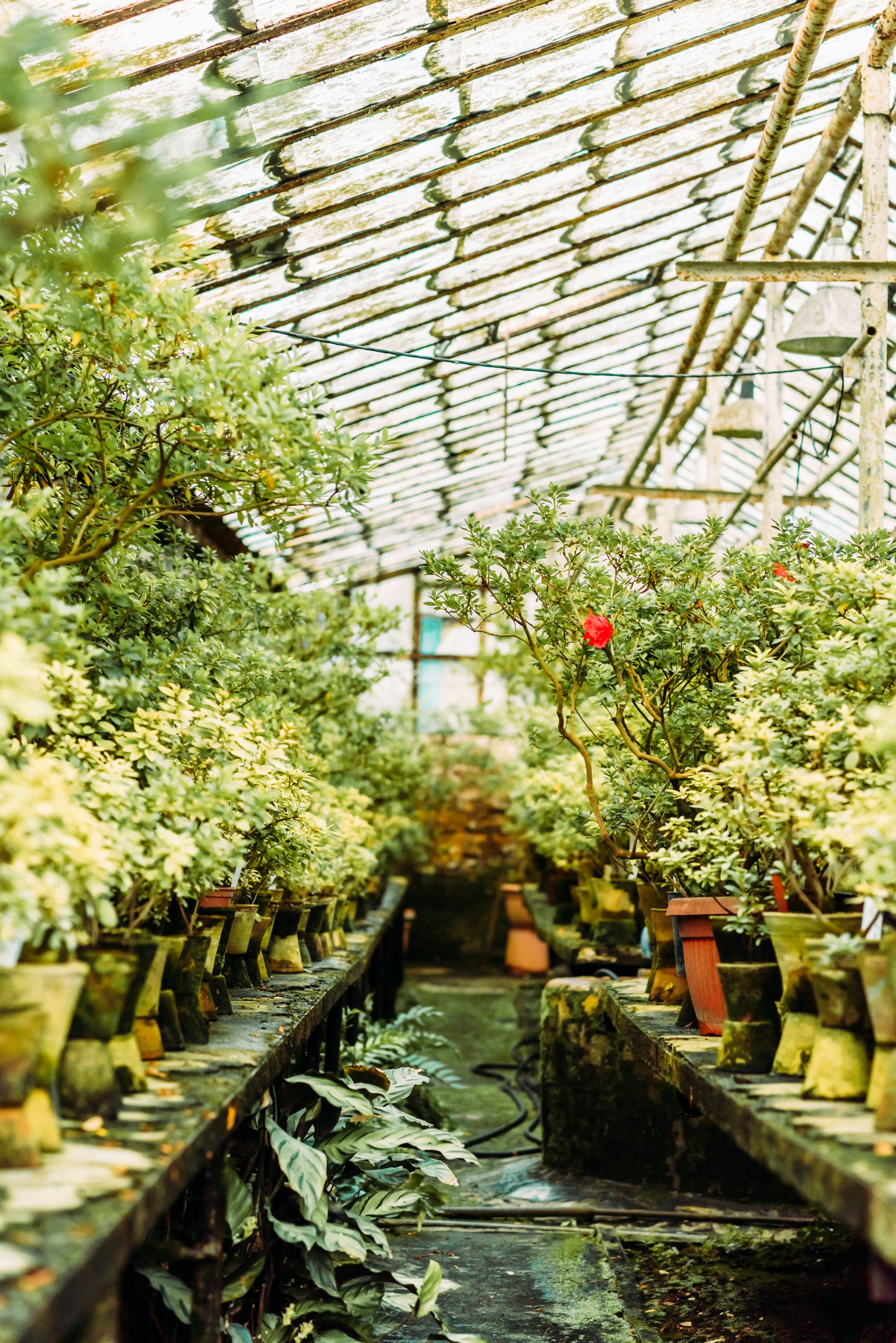 Photo by eugenivy_now