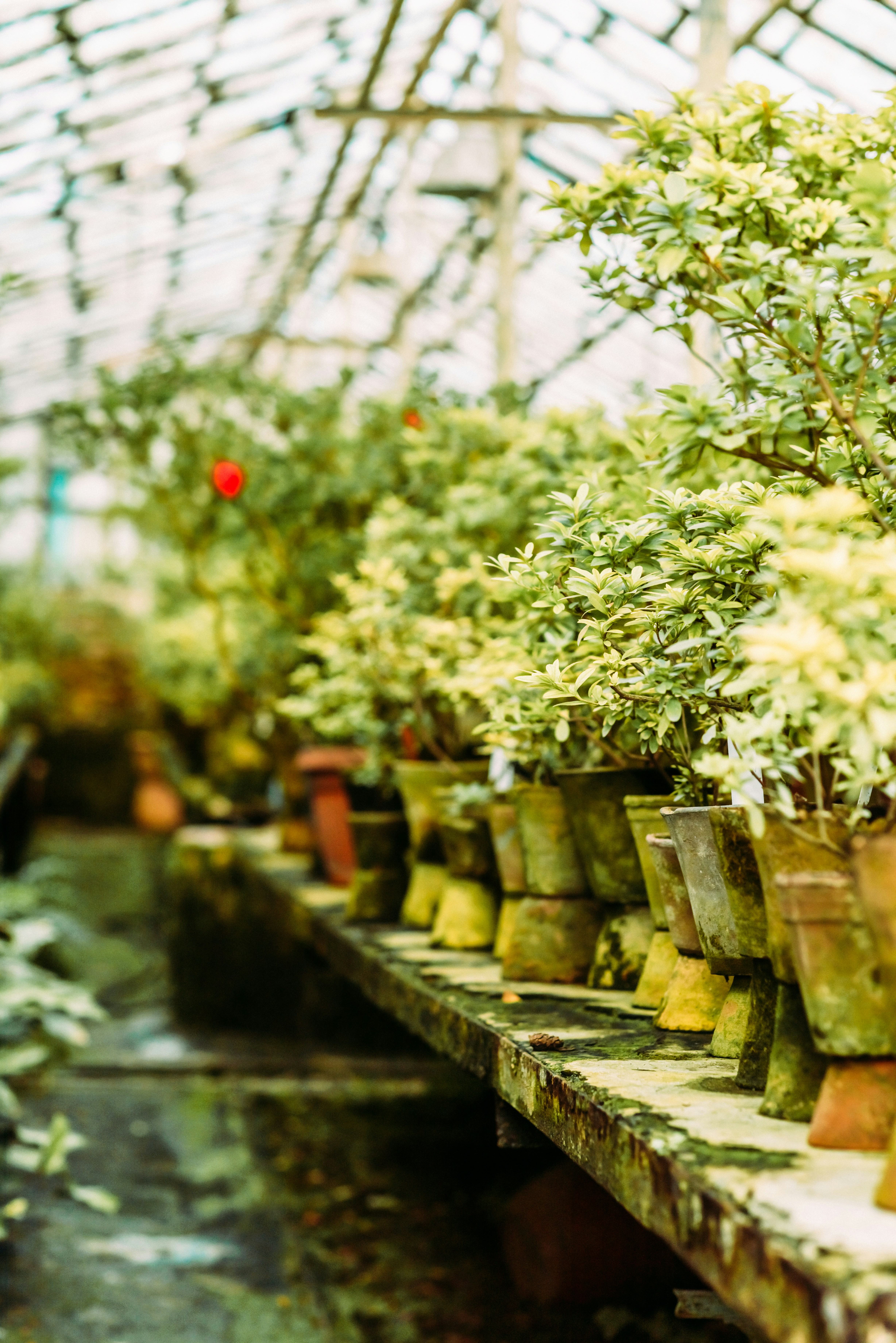 Photo by eugenivy_now