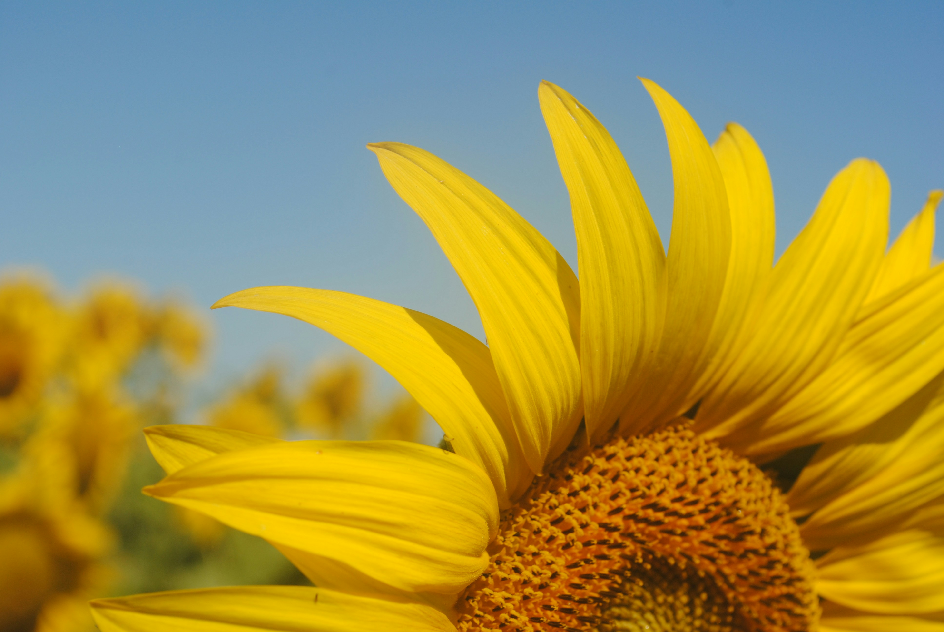 Photo by kaitlyn_2004